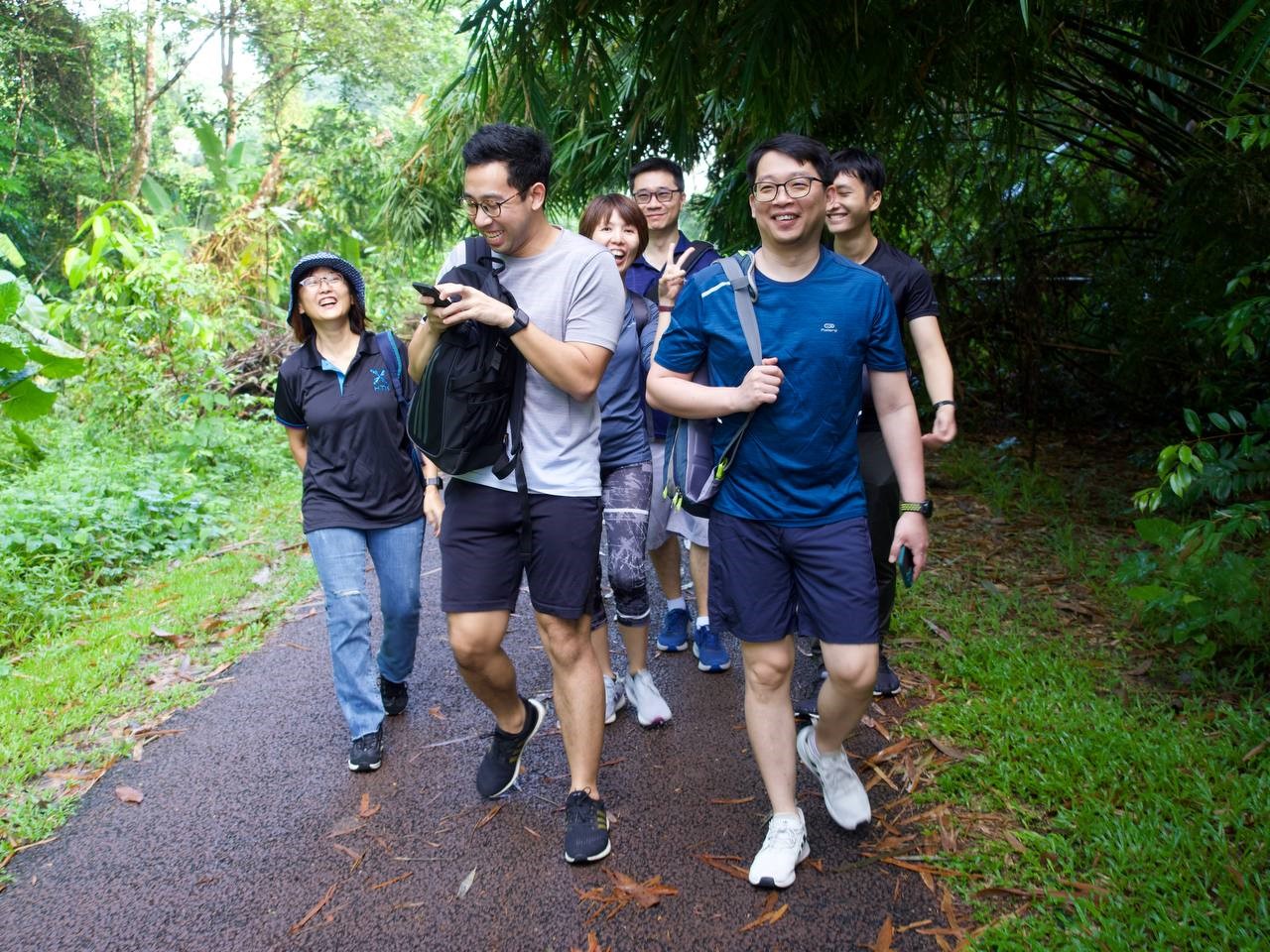 annual-walk6_xdata_ll